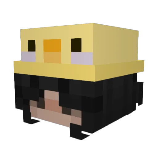 Ducky_Bugs Minecraft avatar head, 3D render
