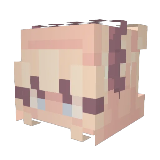 Ducky_DJ Minecraft avatar head, 3D render