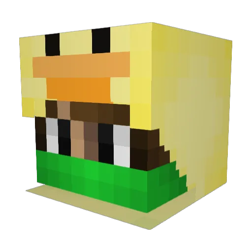 Ducky_PVP Minecraft avatar head, 3D render