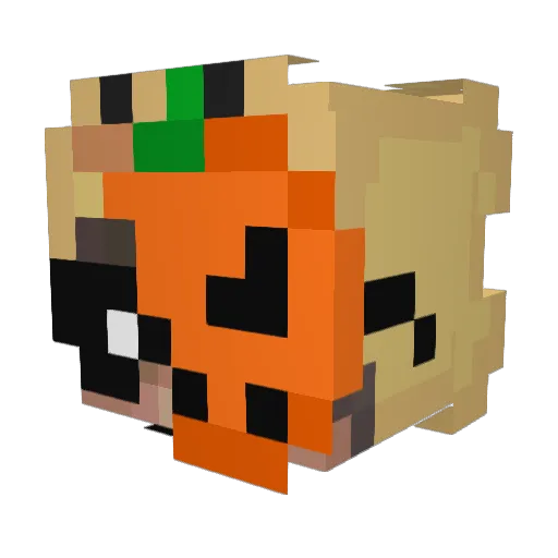 Ducky_nugg3t Minecraft avatar head, 3D render