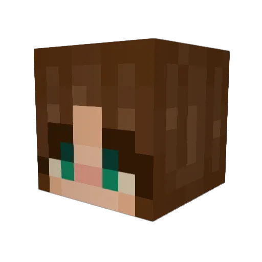 Duckyblt Minecraft avatar head, 3D render