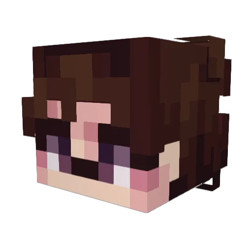 Duckyfluxer Minecraft avatar head, 3D render