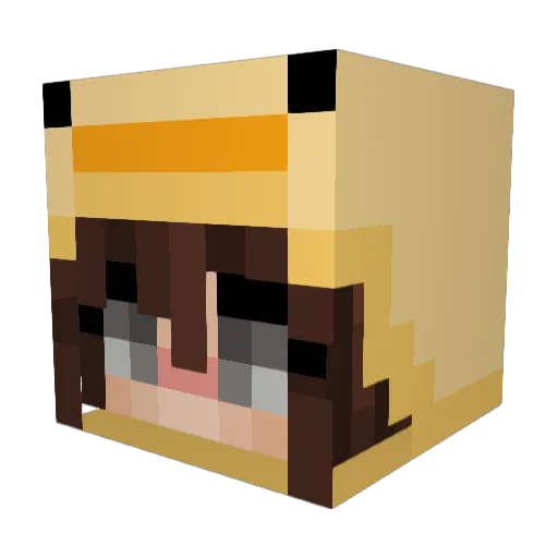 Duckyfriend72 Minecraft avatar head, 3D render
