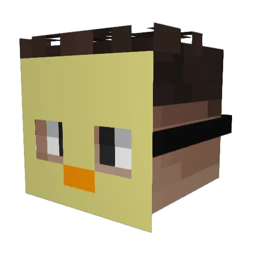 Duckyto Minecraft avatar head, 3D render