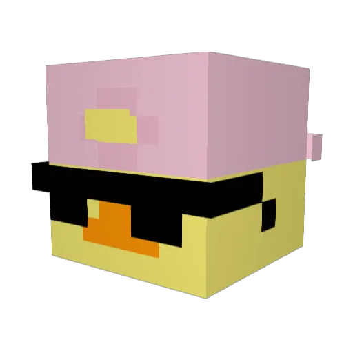Duckyy1337 Minecraft avatar head, 3D render