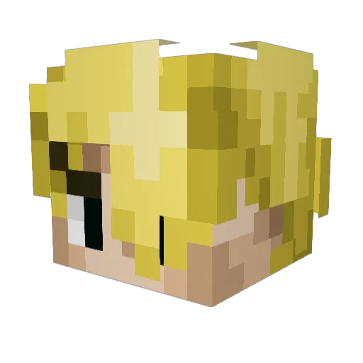 Duckyy78 Minecraft avatar head, 3D render