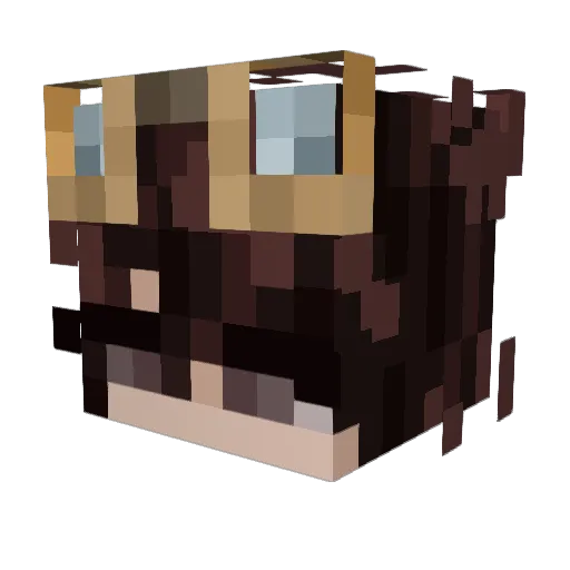 Duckyyyy_X3 Minecraft avatar head, 3D render
