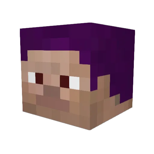 Duconi Minecraft avatar head, 3D render