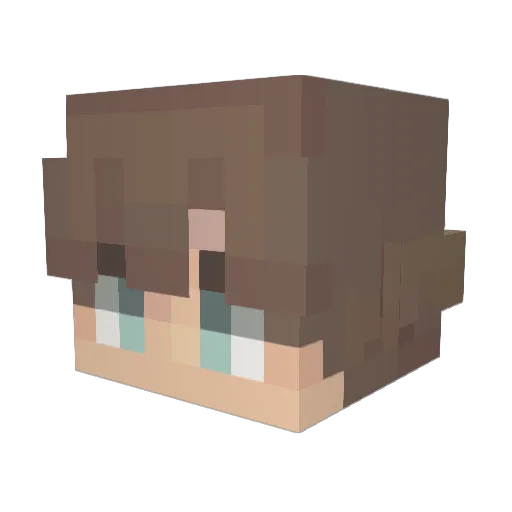 DuctedFan Minecraft avatar head, 3D render