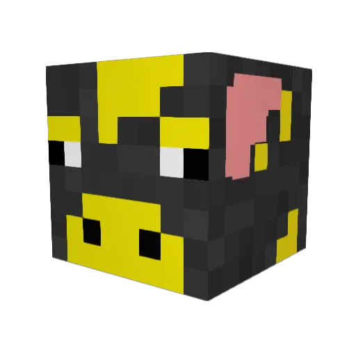 Ducttapelover818 Minecraft avatar head, 3D render