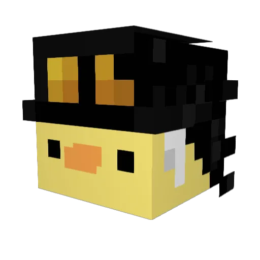 Ducyolo Minecraft avatar head, 3D render