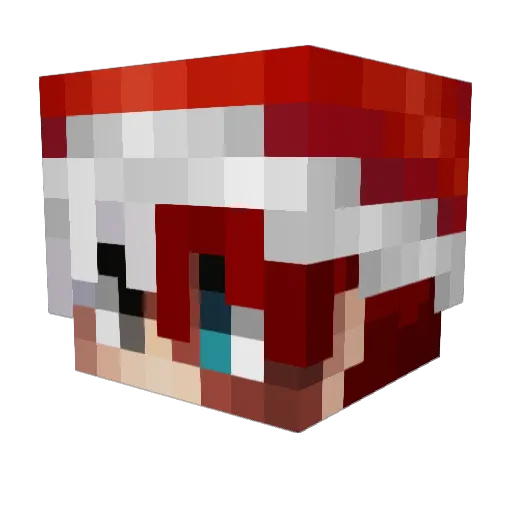 Duda1424 Minecraft avatar head, 3D render