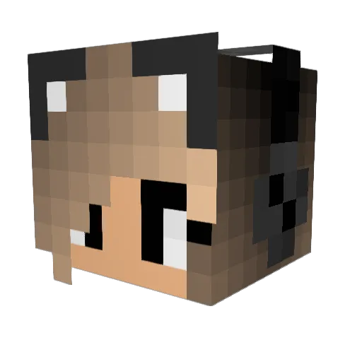 Dudalopes_ Minecraft avatar head, 3D render