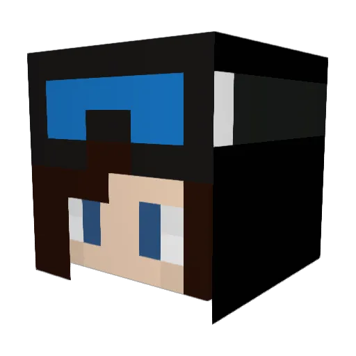 Dude201 Minecraft avatar head, 3D render
