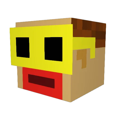 Dude555 Minecraft avatar head, 3D render