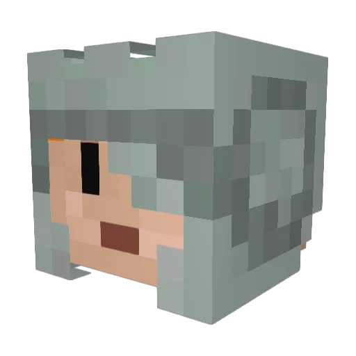 Dude923 Minecraft avatar head, 3D render