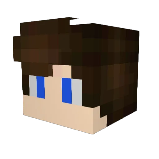 DudeDad1980 Minecraft avatar head, 3D render
