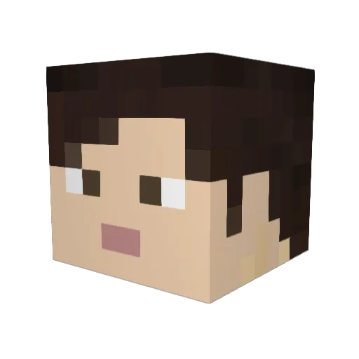 DudeDownSouth Minecraft avatar head, 3D render
