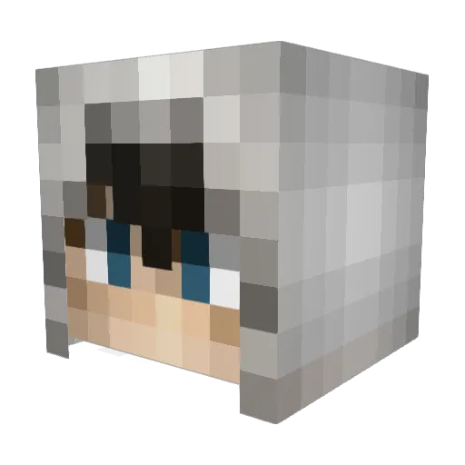 DudeMaxed Minecraft avatar head, 3D render
