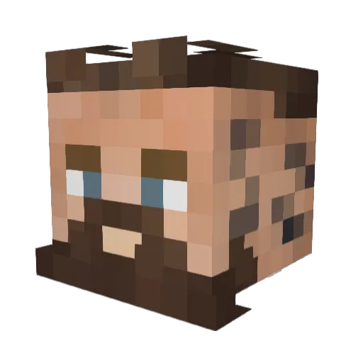 DudeSayWHAT Minecraft avatar head, 3D render
