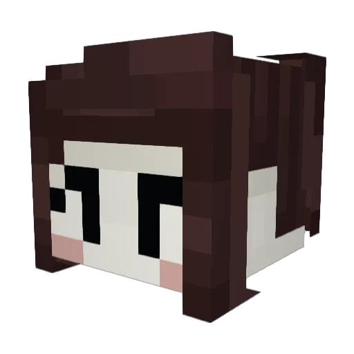 DudeTheNinja Minecraft avatar head, 3D render