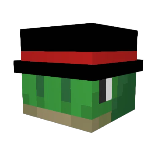 DudeZan_ Minecraft avatar head, 3D render