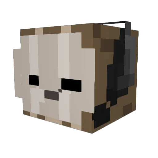 Dudebucket Minecraft avatar head, 3D render