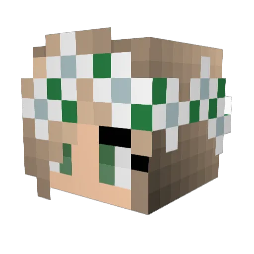 Dudedjk_3 Minecraft avatar head, 3D render
