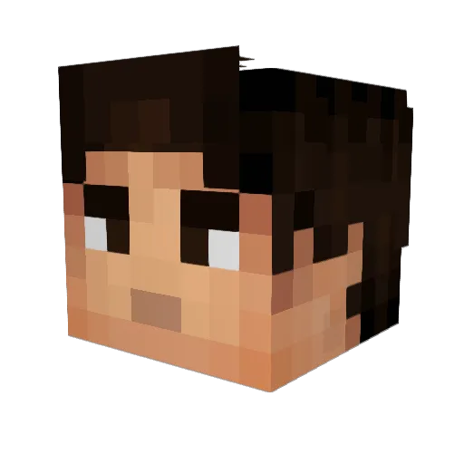 Dudeguy Minecraft avatar head, 3D render