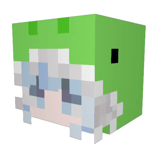 DudeispaidACTOR Minecraft avatar head, 3D render