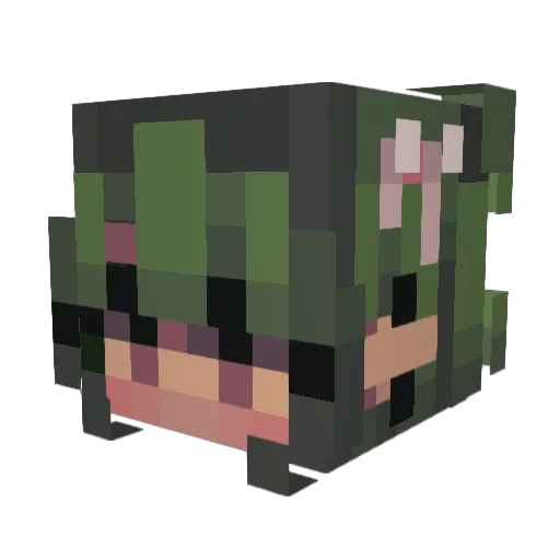 Dudejustus Minecraft avatar head, 3D render