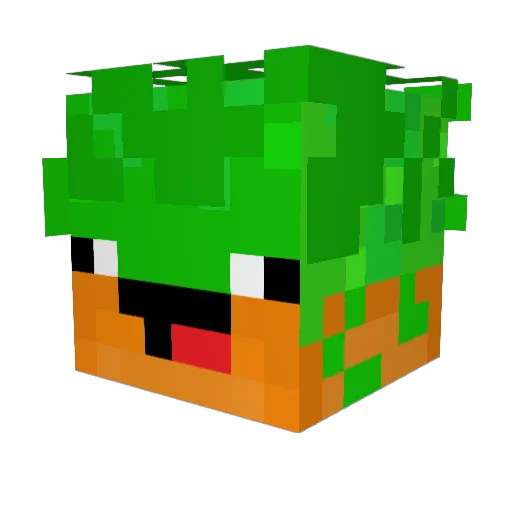 Dudelfreak Minecraft avatar head, 3D render