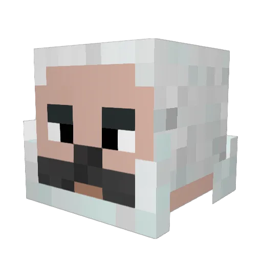 DudelyGamer Minecraft avatar head, 3D render