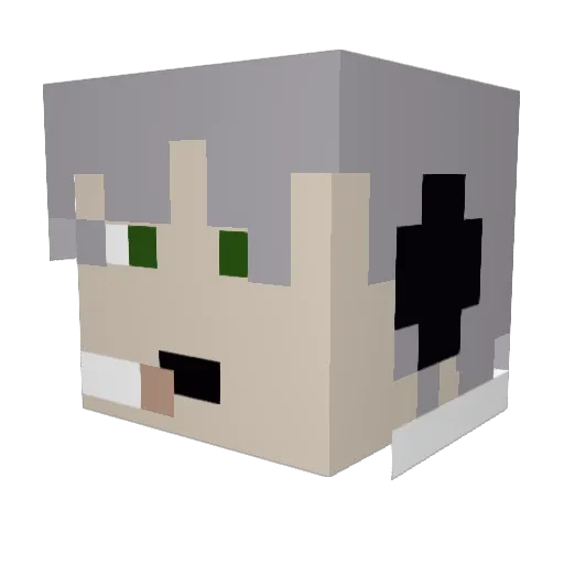 DudeofSuhs Minecraft avatar head, 3D render