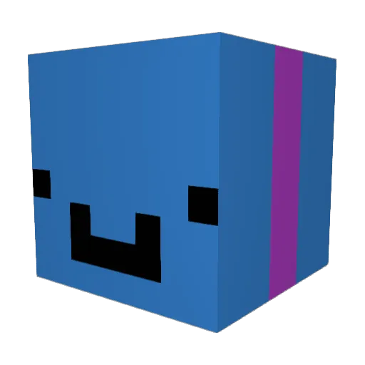 Duderdude4 Minecraft avatar head, 3D render