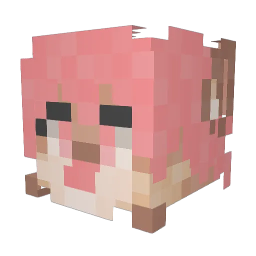 DuderinoHD Minecraft avatar head, 3D render