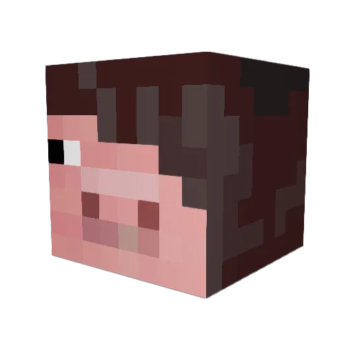 Duders99 Minecraft avatar head, 3D render