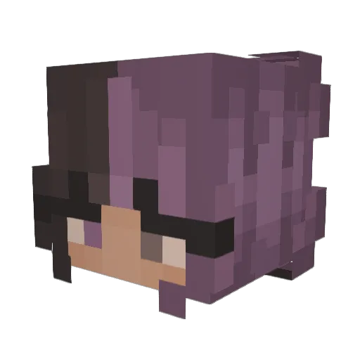 Dudethatsr4d Minecraft avatar head, 3D render