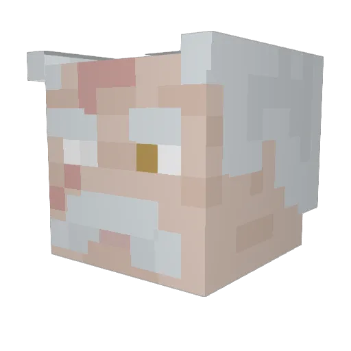 Dudledtr Minecraft avatar head, 3D render