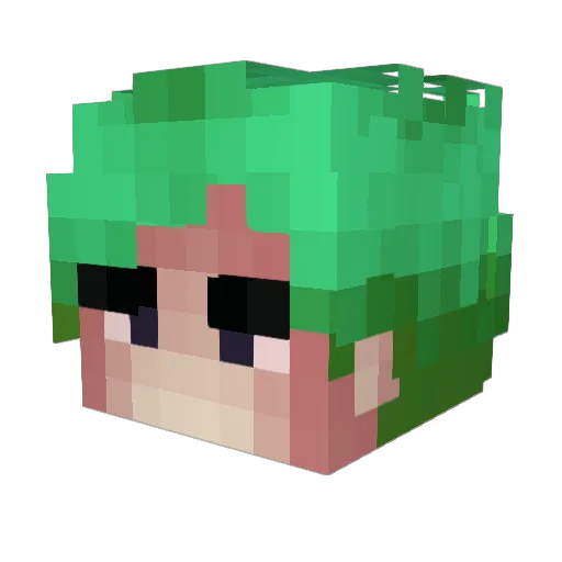 Dudos2323 Minecraft avatar head, 3D render