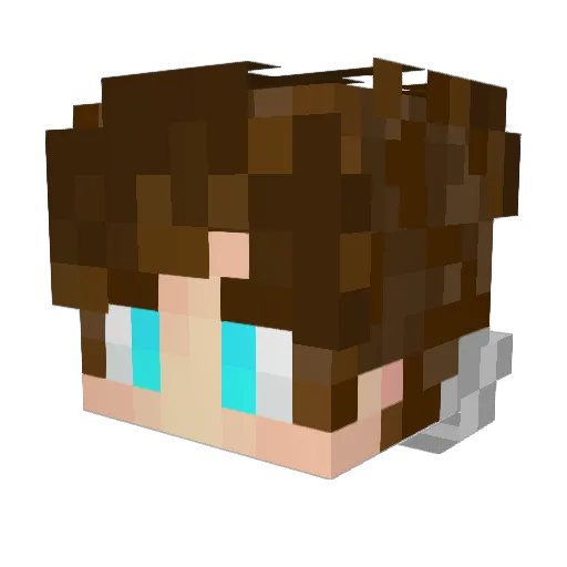Dudu139 Minecraft avatar head, 3D render