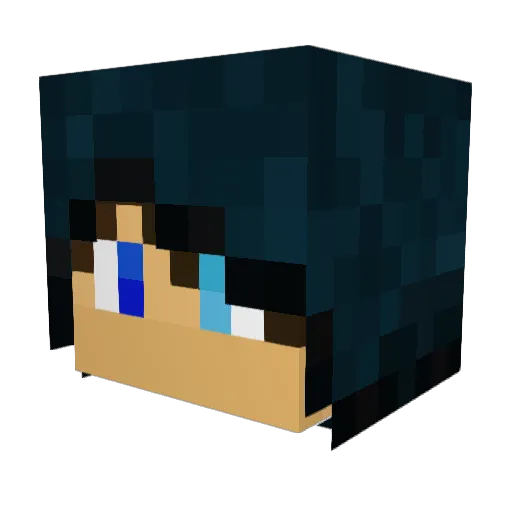 Dudub2828 Minecraft avatar head, 3D render