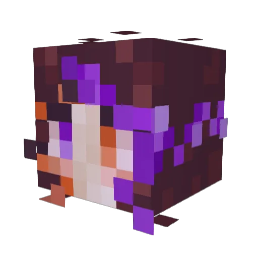 Dududu_ Minecraft avatar head, 3D render