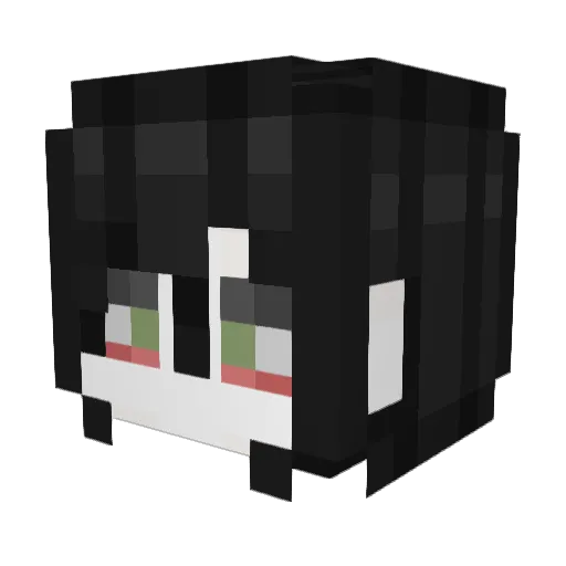 Dudupls Minecraft avatar head, 3D render