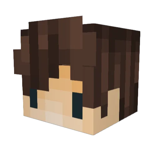 Duduzinho0709 Minecraft avatar head, 3D render