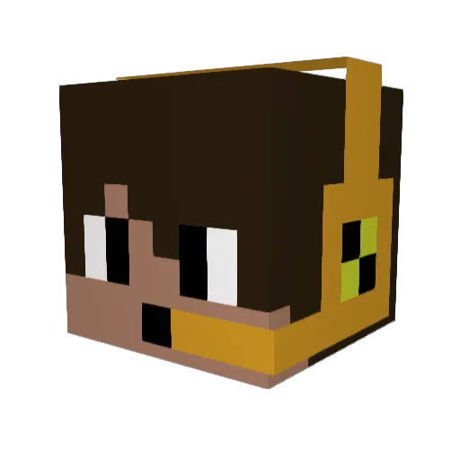 Duece20 Minecraft avatar head, 3D render