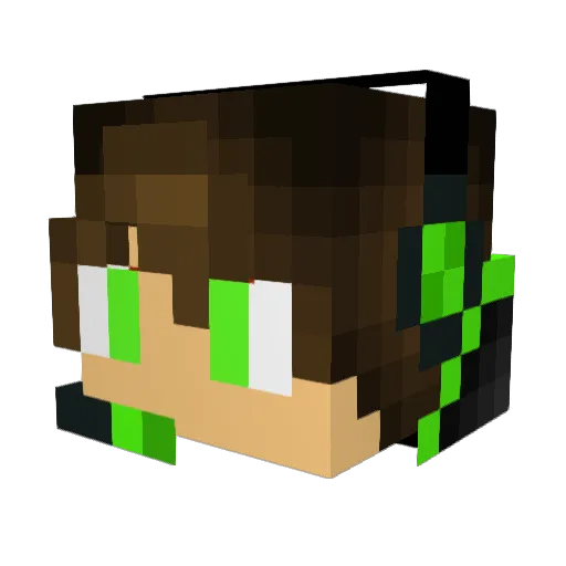 Duel0101 Minecraft avatar head, 3D render