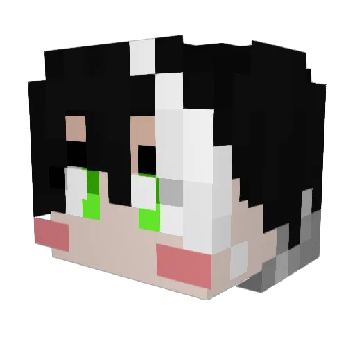DuelAddict Minecraft avatar head, 3D render
