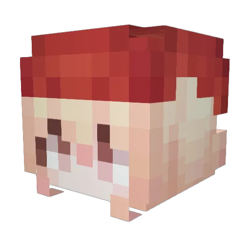 Duessss Minecraft avatar head, 3D render