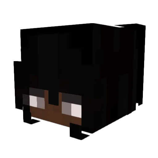 DuewWaTeRr Minecraft avatar head, 3D render